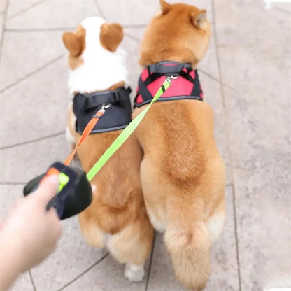 Dual-Dog-Lead-Large-walking